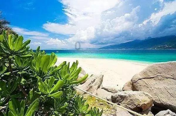 魔法季节沉睡大地